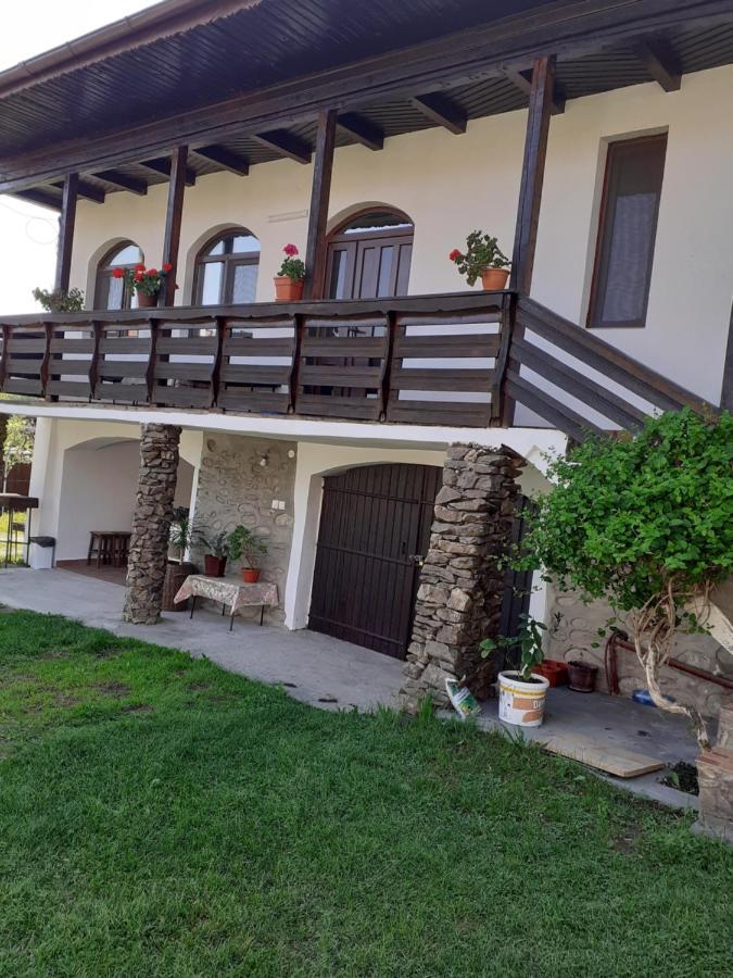 Casa de vacanta Mirela Novaci Străini Exterior foto