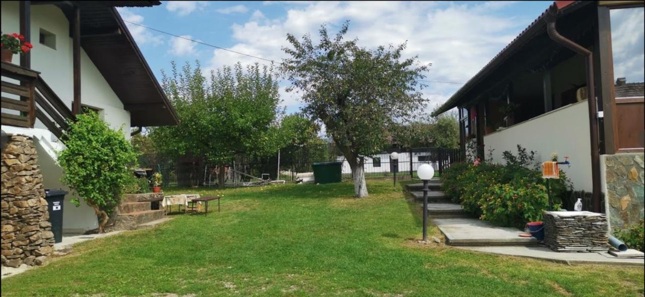 Casa de vacanta Mirela Novaci Străini Exterior foto