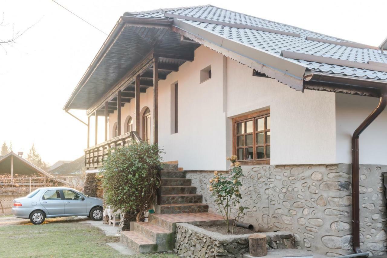 Casa de vacanta Mirela Novaci Străini Exterior foto