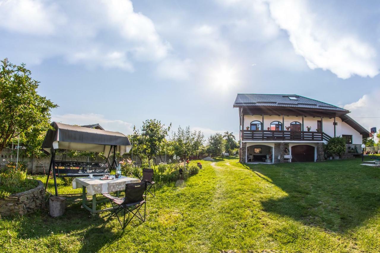 Casa de vacanta Mirela Novaci Străini Exterior foto